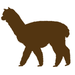 Camelids: Breed
