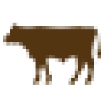 Breeding: Bulls Dairy Breeds