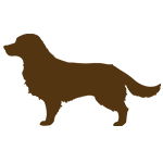 Dogs: Breed