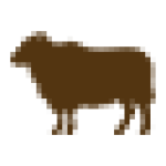 Breeding: Rams Breeds