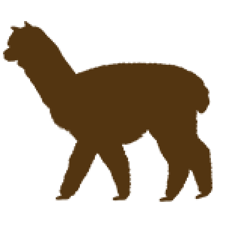 Camelids: Breed
