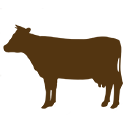Cattle: Breed