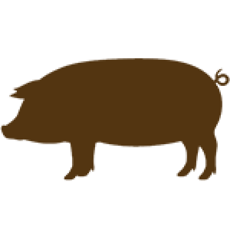 Pigs: Breed