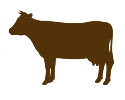 1 x  Lincoln Red Heifers & Heifer Calves